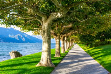 İtalya 'nın güzel akşam ışığında Villa Melzi bahçeleri