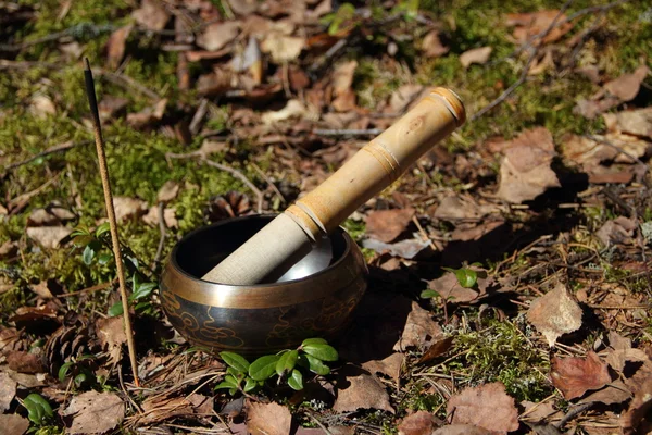 Tibetan singing bowl. incense — Stock Photo, Image