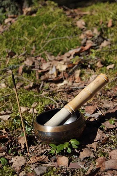 Tibetan singing bowl. incense — Stock Photo, Image