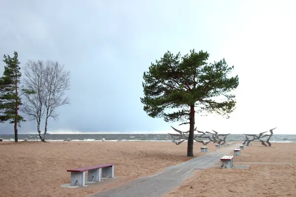 Spiaggia autunnale a San Pietroburgo — Foto Stock