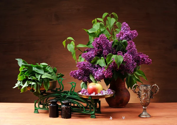 Lilac in a vase — Stock Photo, Image