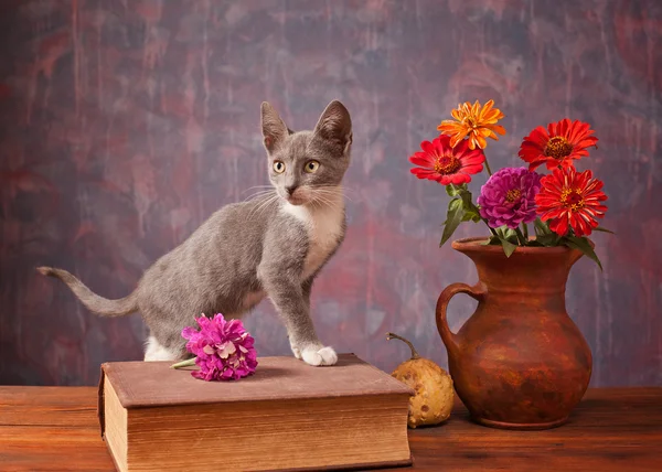 猫旁边插在花瓶里的花合影 — 图库照片