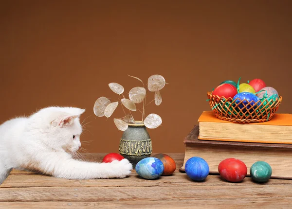 White cat and colored eggs — Stock Photo, Image