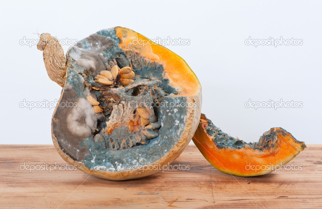 Moldy pumpkins and seeds