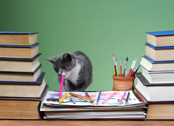 Cat drawing on paper — Stock Photo, Image