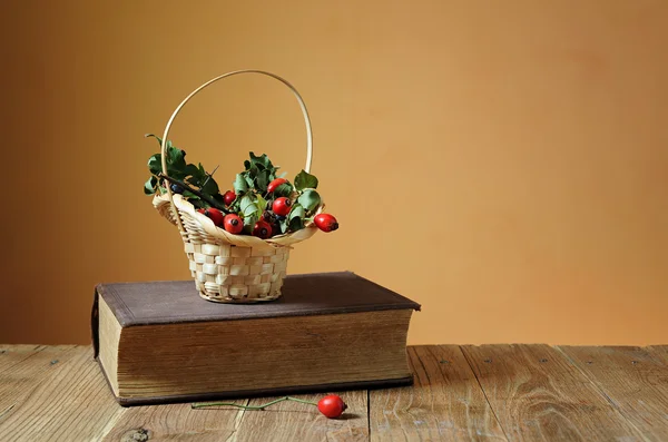 Rose hip in een mandje van rieten — Stockfoto