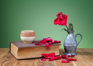 kitap ve kuru çiçekler