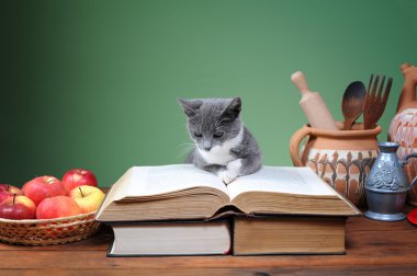 Cat posing on the books clipart