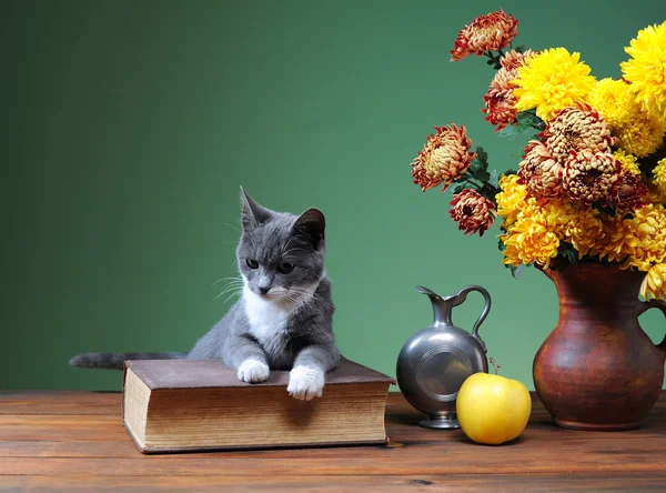 Gato posando ao lado de flores — Fotografia de Stock