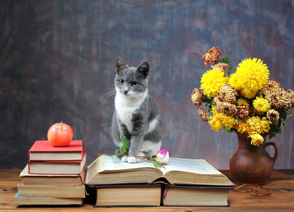 Kat poseren naast bloemen — Stockfoto