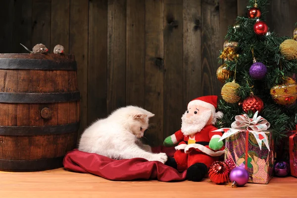 Witte kat spelen met een santa claus — Stockfoto