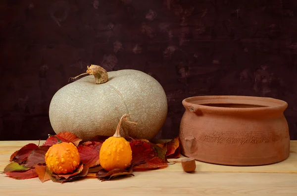 Pumpkin ceramic pot — Stock Photo, Image