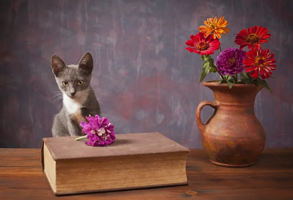 猫旁边插在花瓶里的花合影 — 图库照片