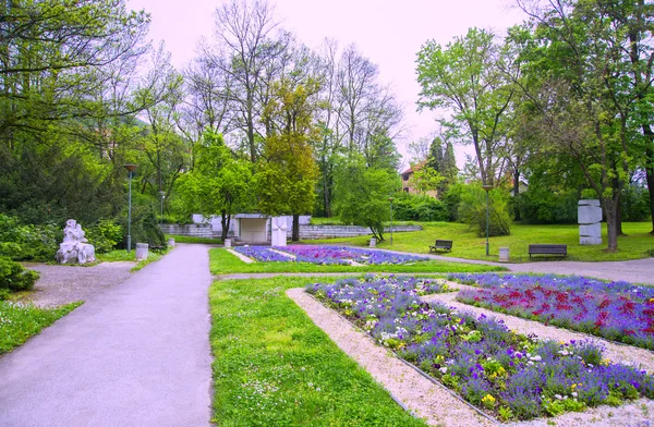 Парк, цветы и деревья — стоковое фото