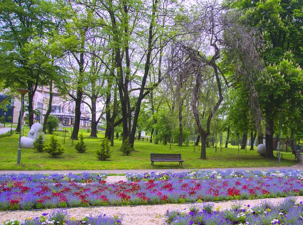 Парк, цветы и деревья — стоковое фото