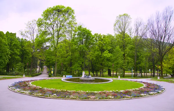 Park, bloemen en bomen — Stockfoto