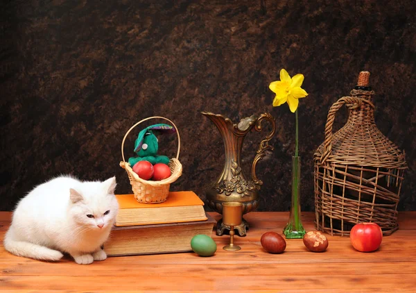 Gato blanco posando junto a libros y flores —  Fotos de Stock