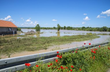 dahil büyük sel evleri, alanlar, ormanlar