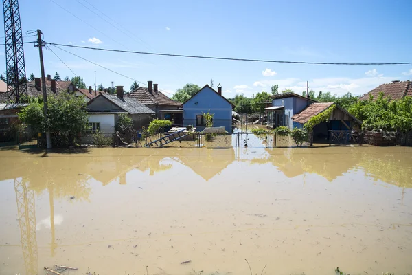 Great flood which included houses, fields, forests — Stock Photo, Image