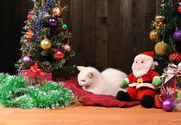 Nyårsdekorationer Vit Katt Och Jultomte Ateljén — Stockfoto