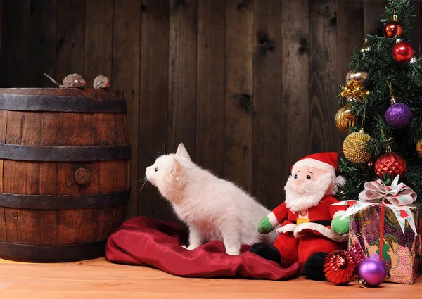 Nyårsdekorationer Vit Katt Och Jultomte Ateljén — Stockfoto