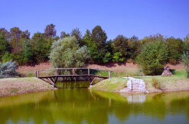 Göl, parktaki ağaçlı ve otlu ahşap köprü.