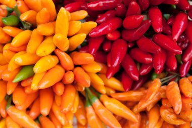 küçük renkli biber