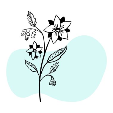 El çizimi çiçek, botanik element renk arkaplan şekli tasarım için. Instagram hikaye simgeleri