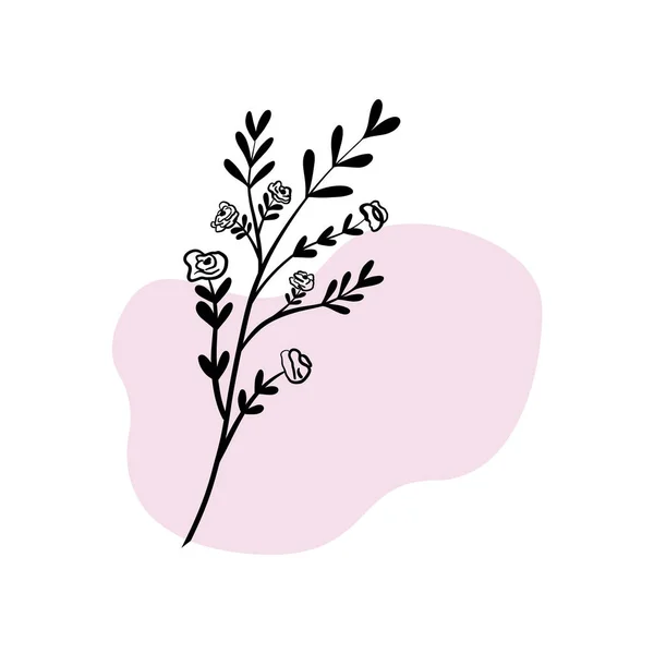 Éléments floraux et botaniques dessinés à la main sur fond de couleur pour le design. icônes histoire Instagram — Image vectorielle
