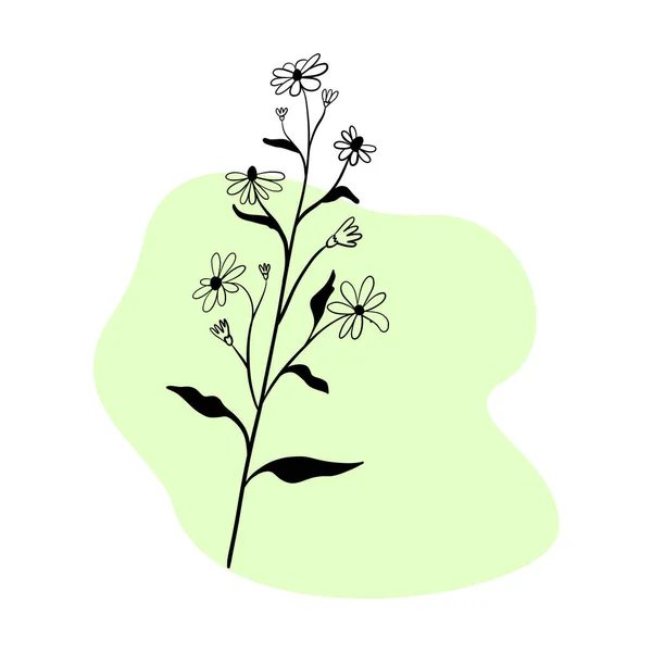 Met de hand getekend bloemig, botanisch element op kleur achtergrond vorm voor ontwerp. Instagram verhaal pictogrammen — Stockvector
