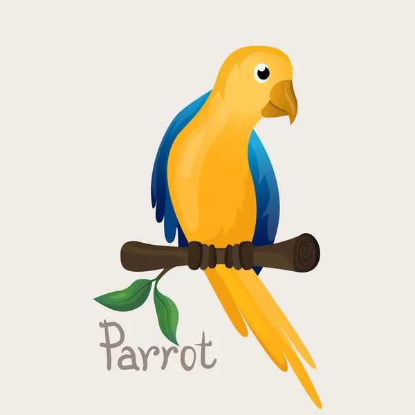 Καρτούν χαριτωμένο πουλί παπαγάλο. Τροπικό ζώο. — Διανυσματικό Αρχείο