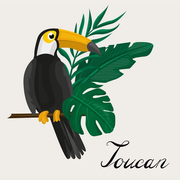 Tucán, aves exóticas, flores tropicales, hojas de palma, hojas de la selva, ave del paraíso. — Archivo Imágenes Vectoriales