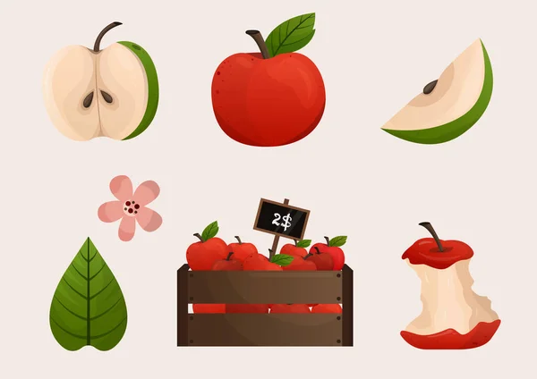 苹果红绿相间。苹果在盒子里。苹果片、树叶和苹果花 — 图库矢量图片