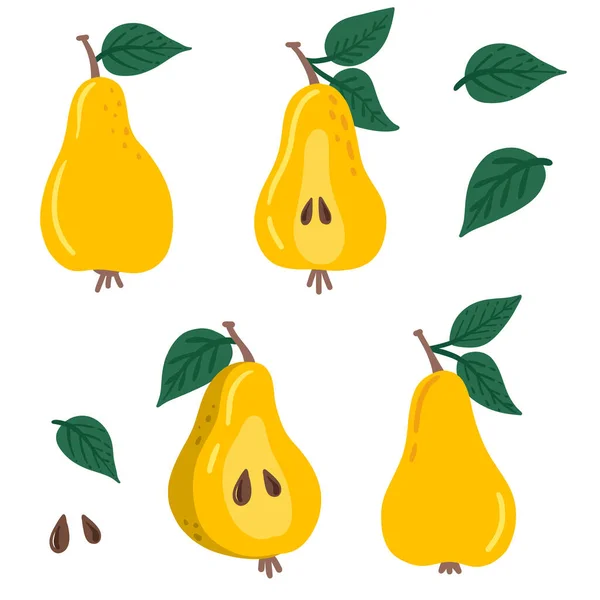Pear set. Slice of pear, leaves — 图库矢量图片