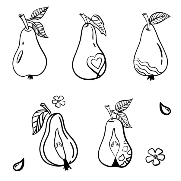 Pêra mão estilo desenhado. Alimento modelo ecológico para menu, geléia de pêra e rótulo de suco, banner de chá. Ilustração vetorial — Vetor de Stock