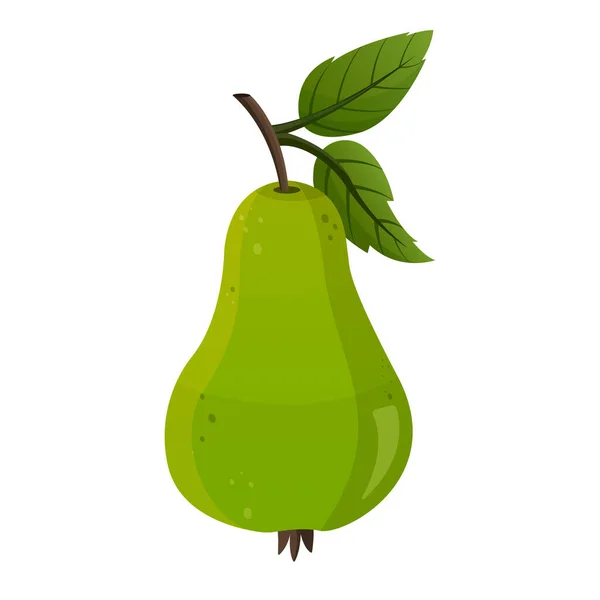 Green pear isolated on white background. Vector illustration. Fruit — 图库矢量图片