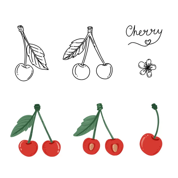 Conjunto de cereja em doodle e estilos desenhados à mão — Vetor de Stock