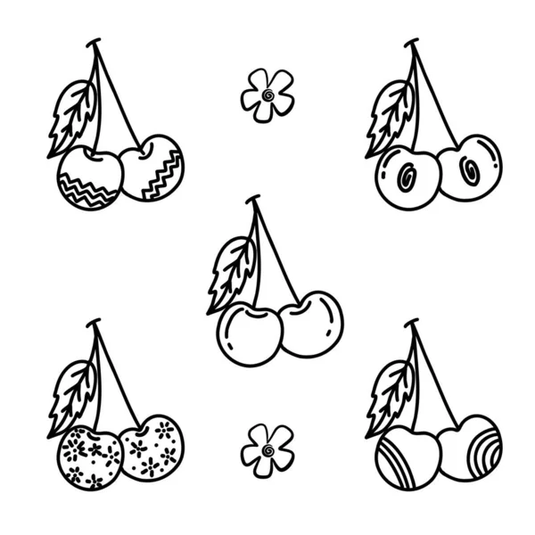 Cherry mão estilo desenhado com linhas abstratas ornamentos. Alimento modelo ecológico para menu, geléia de cereja e rótulo de suco, banner de chá, têxtil — Vetor de Stock