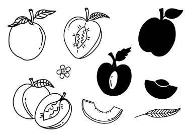 Elle çizilmiş şeftali seti. Şeftali silueti