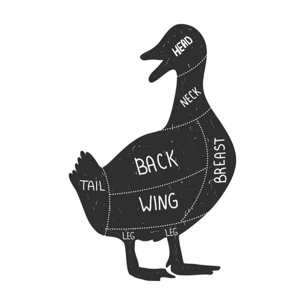 Duck Silhouette Duck Cut Retro Animal Farm Poster Butchery Meat — Vetor de Stock