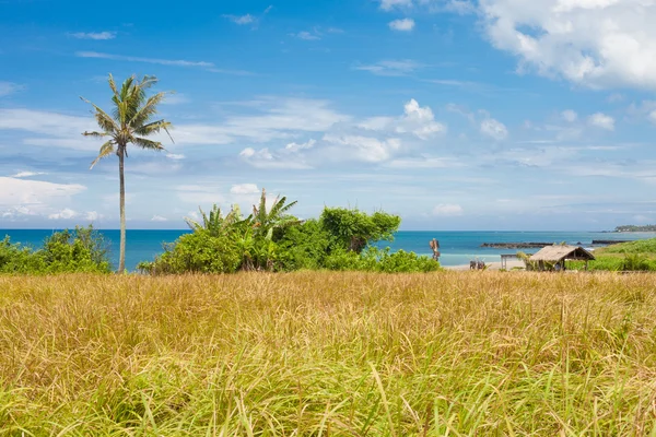 Praia em bali — Fotografia de Stock