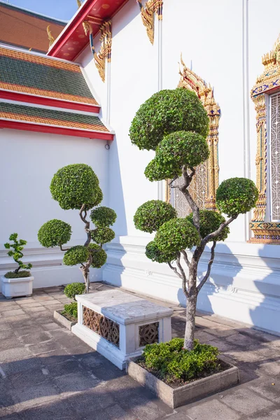 Wat Pho — Stockfoto