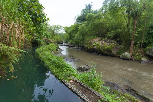 Río pasando por la escuela verde —  Fotos de Stock