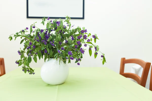 Plant op tafel — Stockfoto