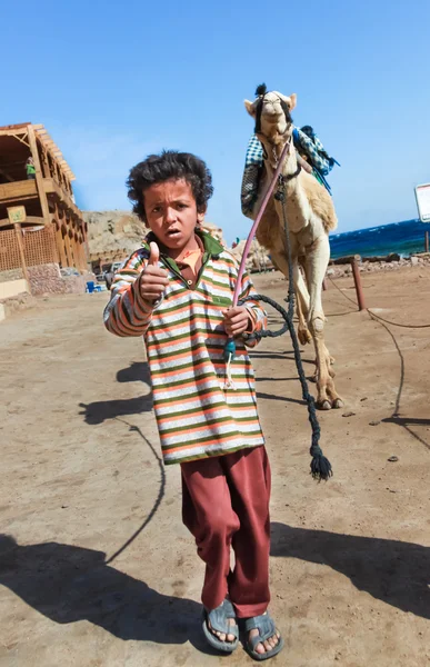 Un garçon conduit un chameau — Photo