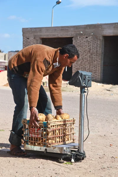 Pommes de terre à vendre — Photo