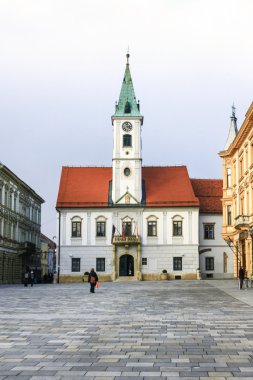 Varaždin 's city hall