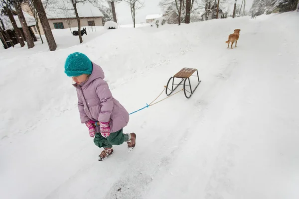 Little girl pulling sled — Stock Photo, Image