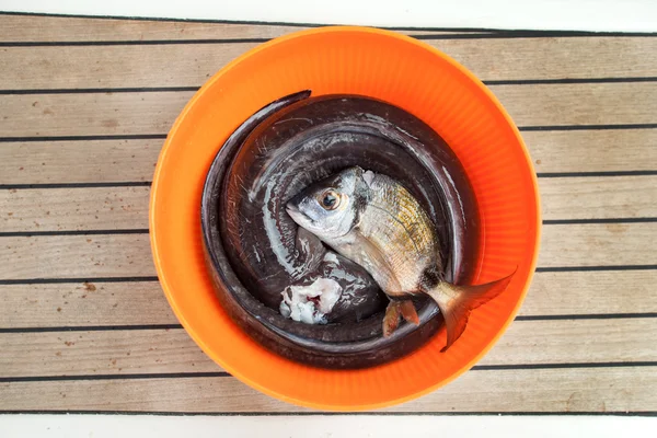 Fresh fish in bucket — Stock Photo, Image
