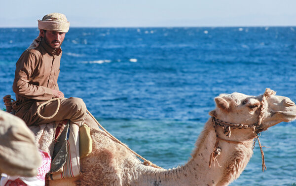 Bedouin man rides a camel